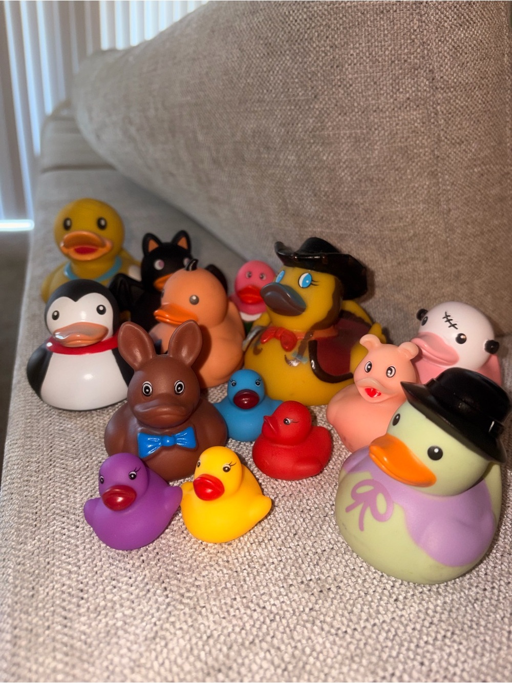 Multi-Color Rubber Duck Set - Assorted Characters